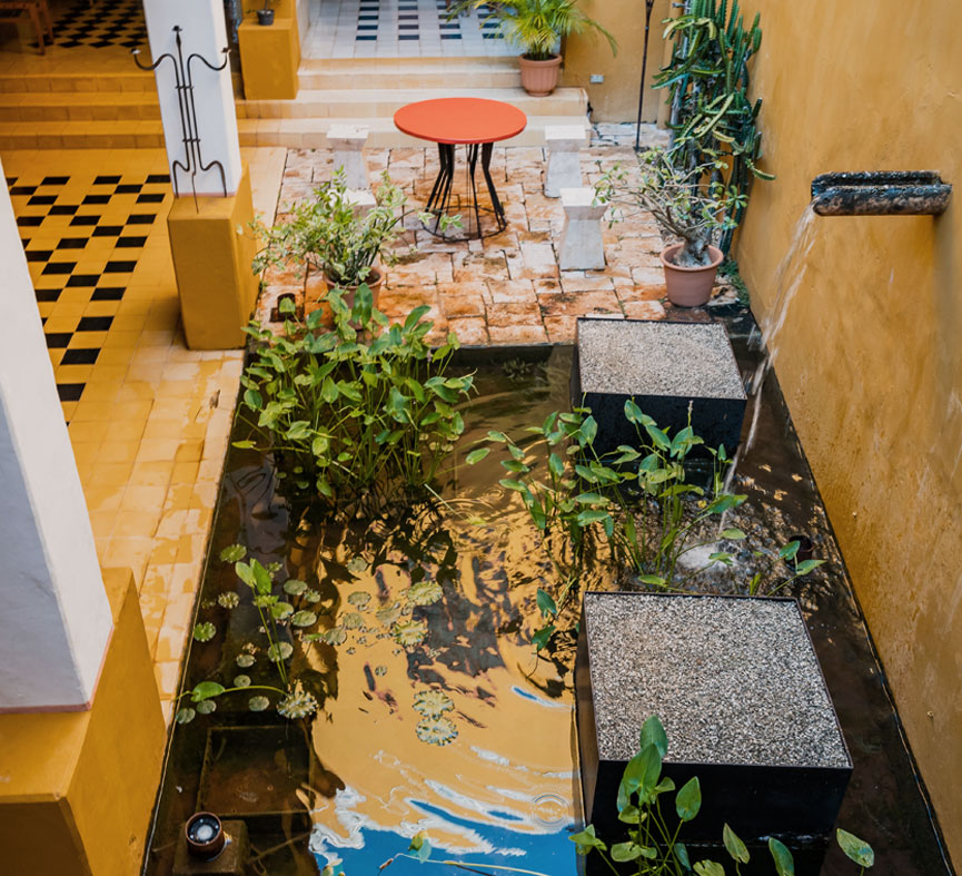 Casa de los artistas - Areas