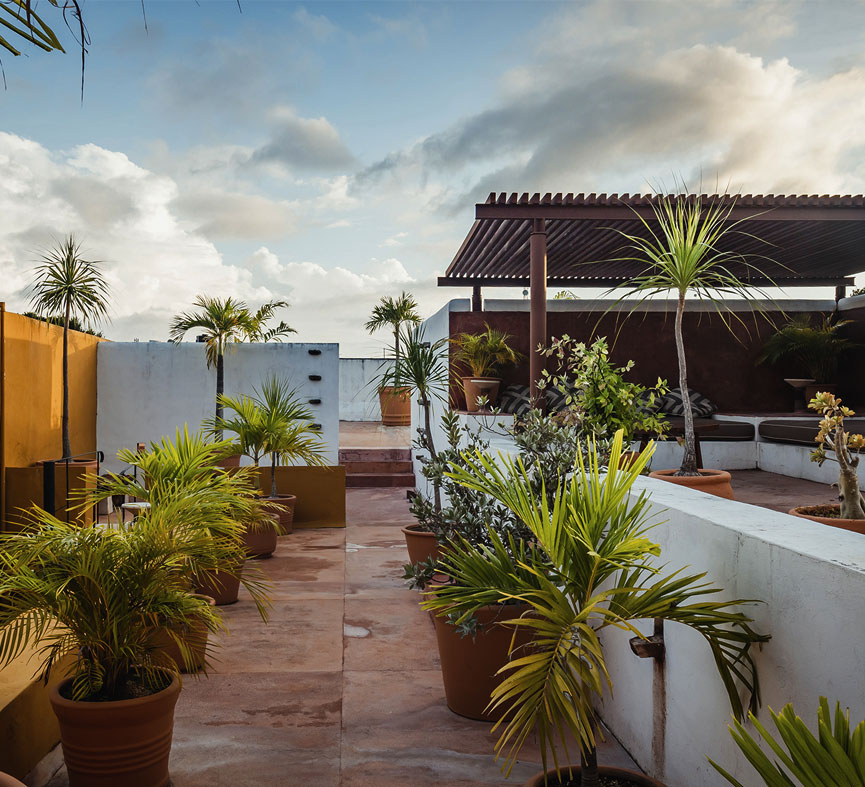 Casa de los artistas - Areas