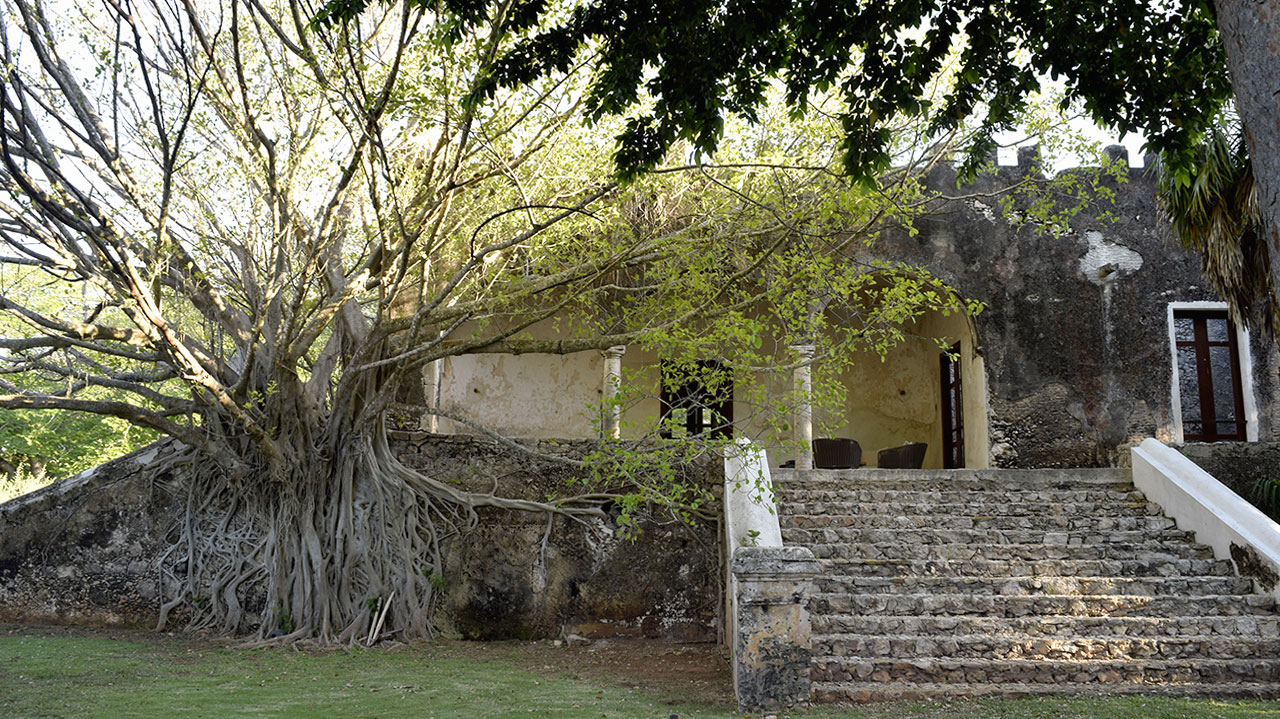 Tamchen - Areas